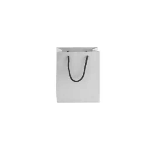 230gsm Matte Gift Bag - 14cm Silver Front